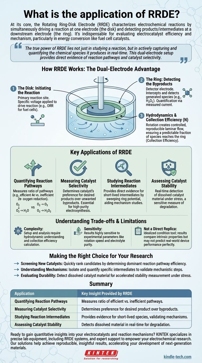 ¿Cuál es la aplicación de RRDE? Desbloquee conocimientos cuantitativos sobre catalizadores y reacciones Guía Visual