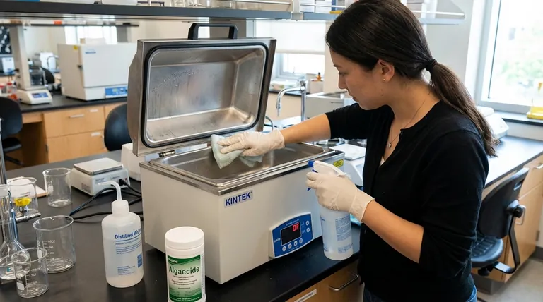 Wie hält man ein Laborwasserbad sauber? Ein proaktiver Leitfaden zur Vermeidung von Kontamination und Ablagerungen