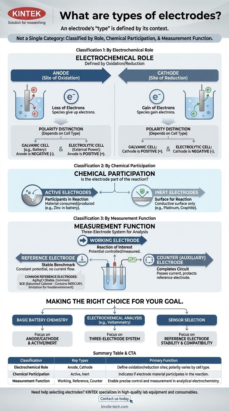 Quais são os tipos de eletrodos? Um Guia para Seus Papéis em Sistemas Eletroquímicos Guia Visual