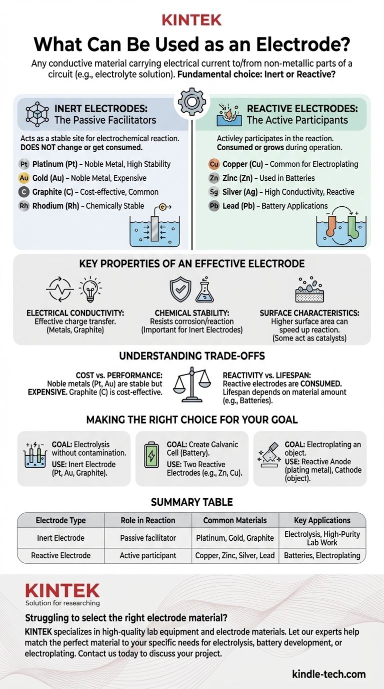 Was kann als Elektrode verwendet werden? Die kritische Wahl zwischen inerten und reaktiven Materialien Visuelle Anleitung