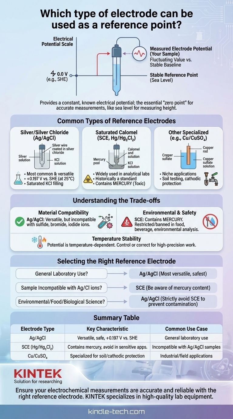 ¿Qué tipo de electrodo se puede utilizar como punto de referencia? Seleccione el adecuado para mediciones precisas Guía Visual