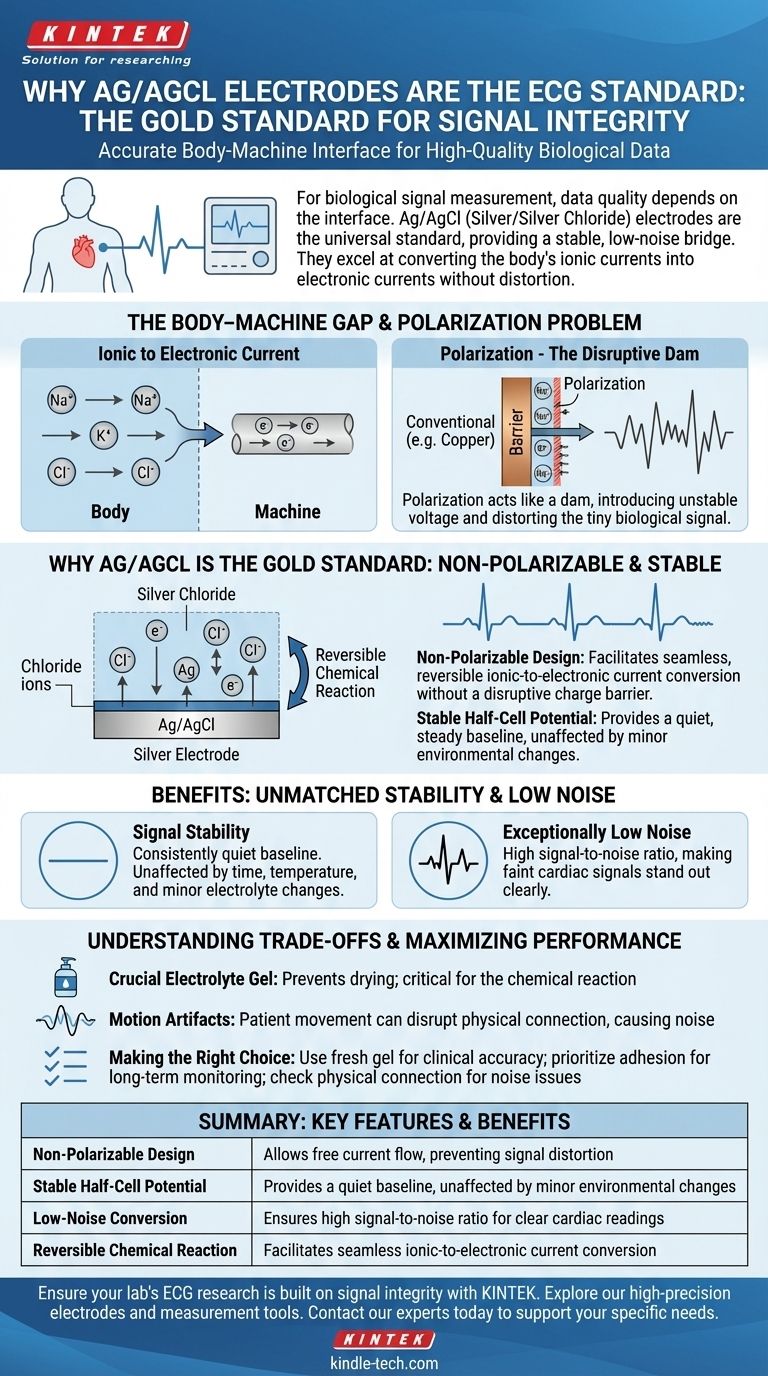 ¿Por qué se utilizan los electrodos de Ag/AgCl en el ECG? Para una Claridad y Estabilidad de Señal Superiores Guía Visual