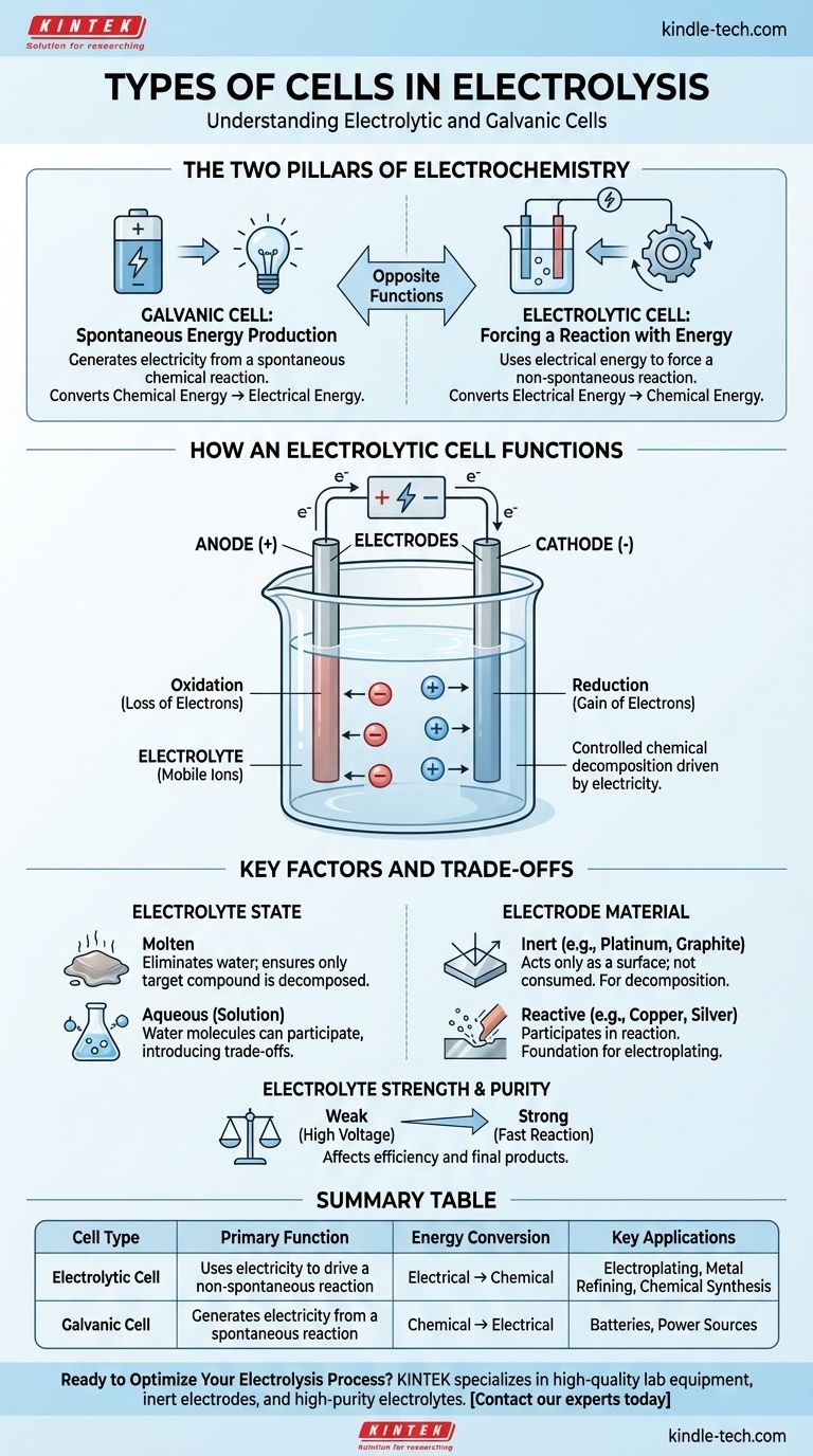 Quels sont les différents types de cellules en électrolyse ? Comprendre les cellules électrolytiques par rapport aux cellules galvaniques Guide Visuel