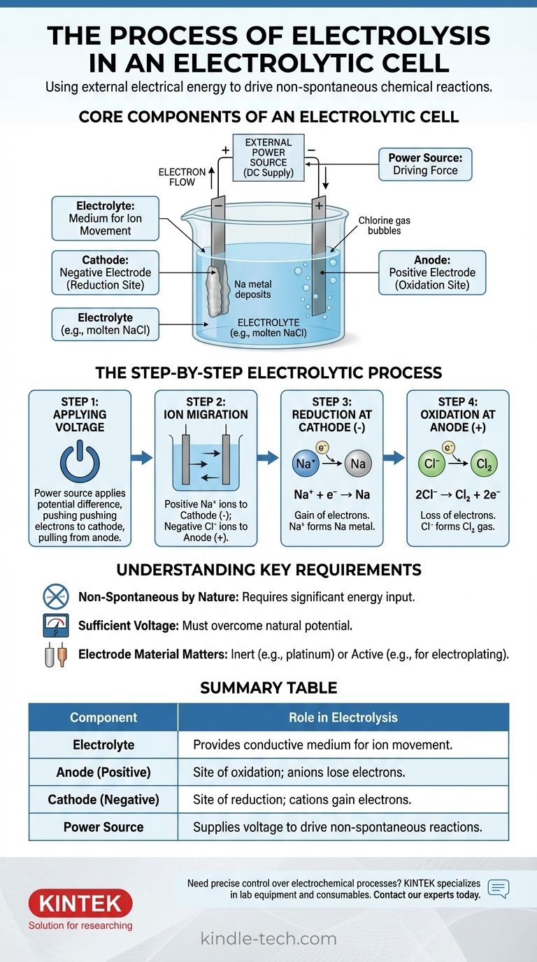 电解池中的电解过程是怎样的？驱动非自发反应的分步指南 图解指南