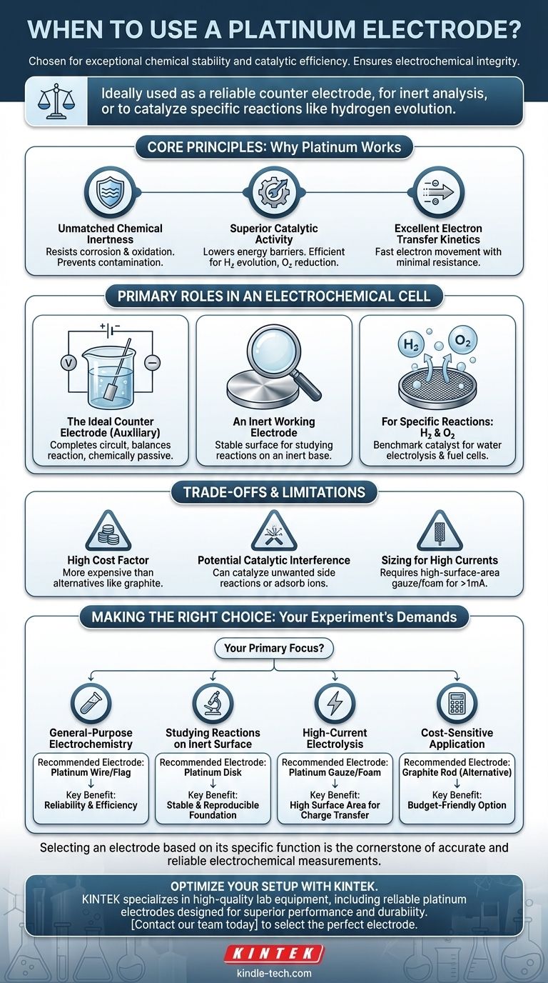 متى تستخدم قطب البلاتين؟ ضمان نتائج كيميائية كهربائية موثوقة ودقيقة دليل مرئي