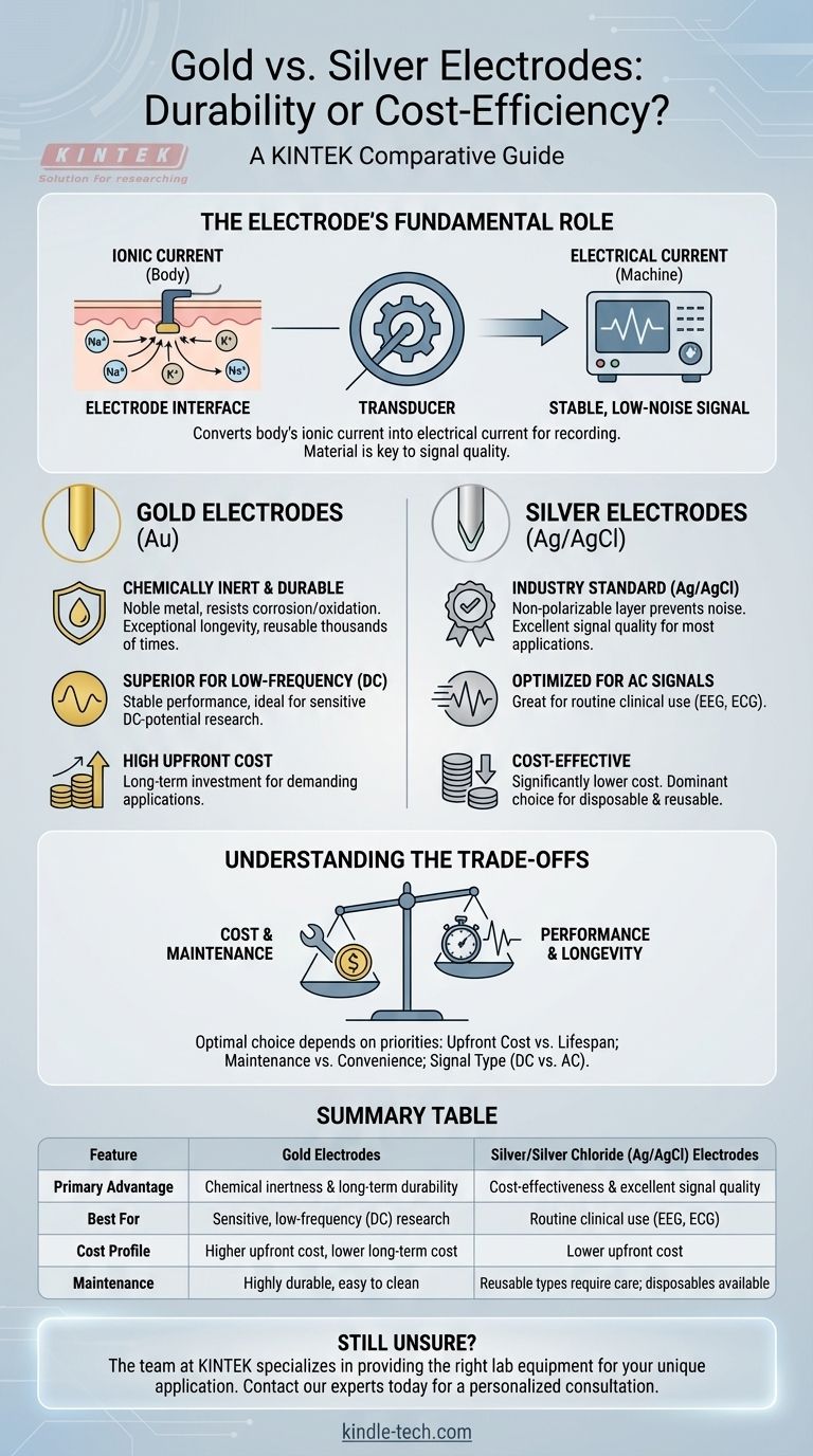 Qual è la differenza tra elettrodi in oro e in argento? Scegli l'elettrodo giusto per la tua applicazione Guida Visiva
