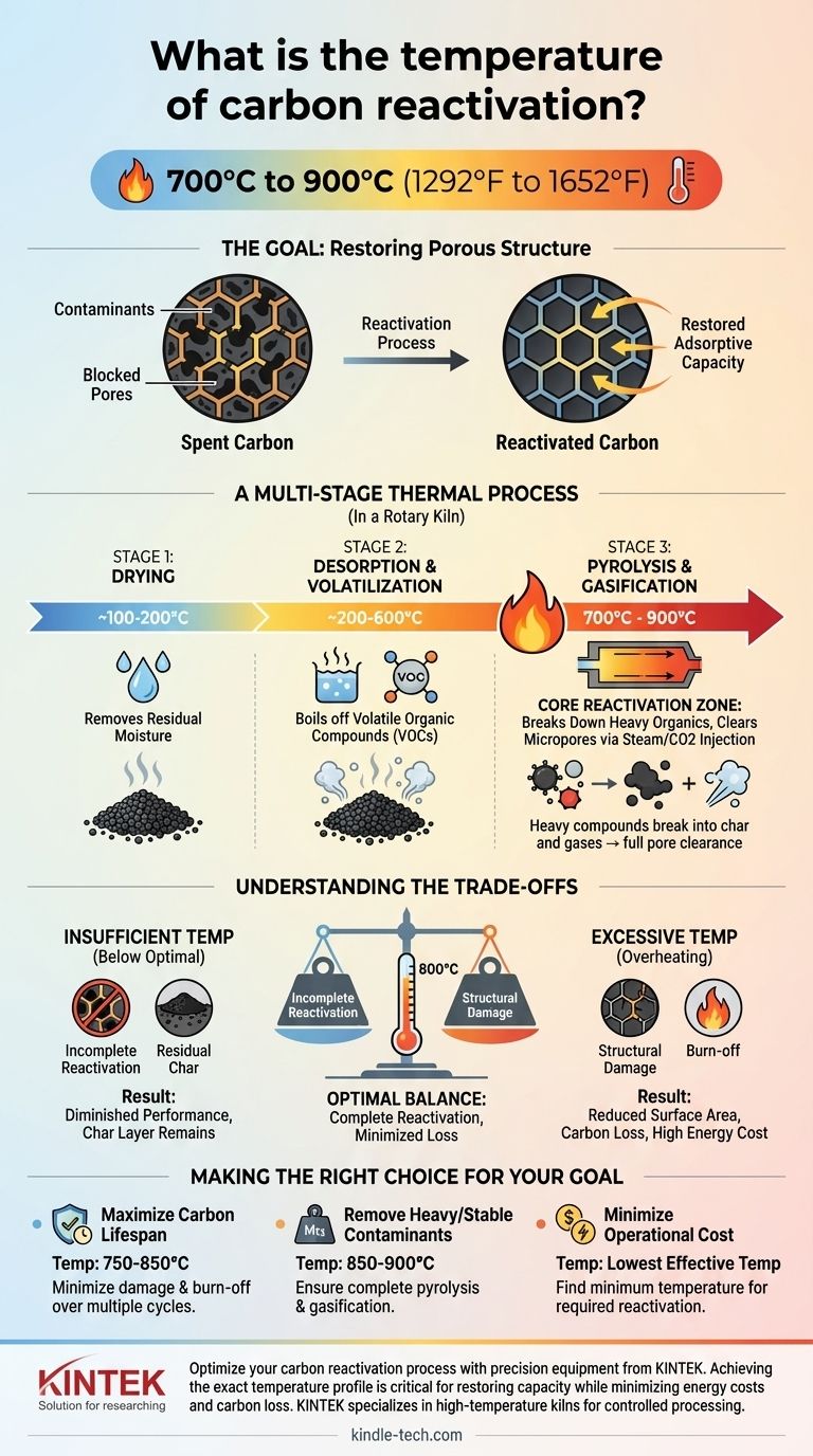 活性炭再活化的温度是多少？将您的工艺优化在 700°C 至 900°C 之间 图解指南