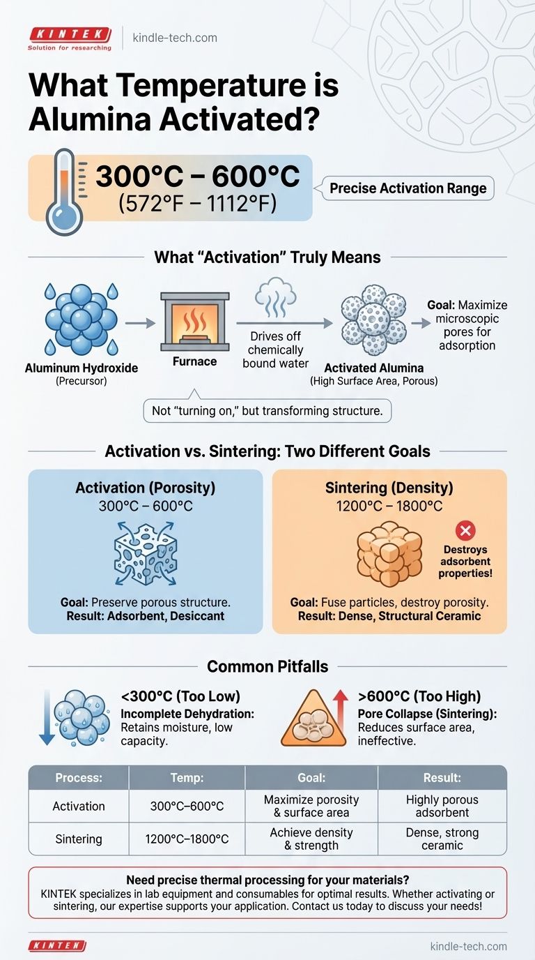 알루미나는 몇 도에서 활성화됩니까? 흡착을 위한 최적의 다공성 잠금 해제 시각적 가이드