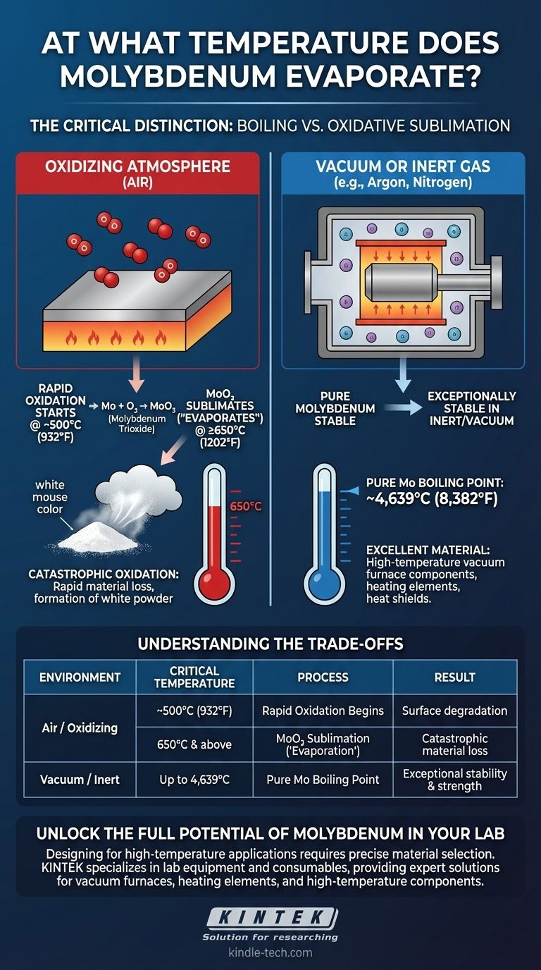 A quale temperatura evapora il molibdeno? Comprendere i suoi limiti ad alta temperatura Guida Visiva