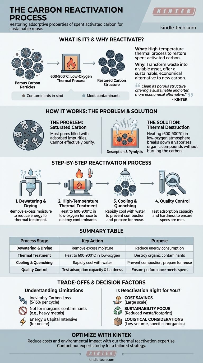 ¿Cuál es el proceso de reactivación del carbón? Una solución sostenible para el carbón activado usado Guía Visual