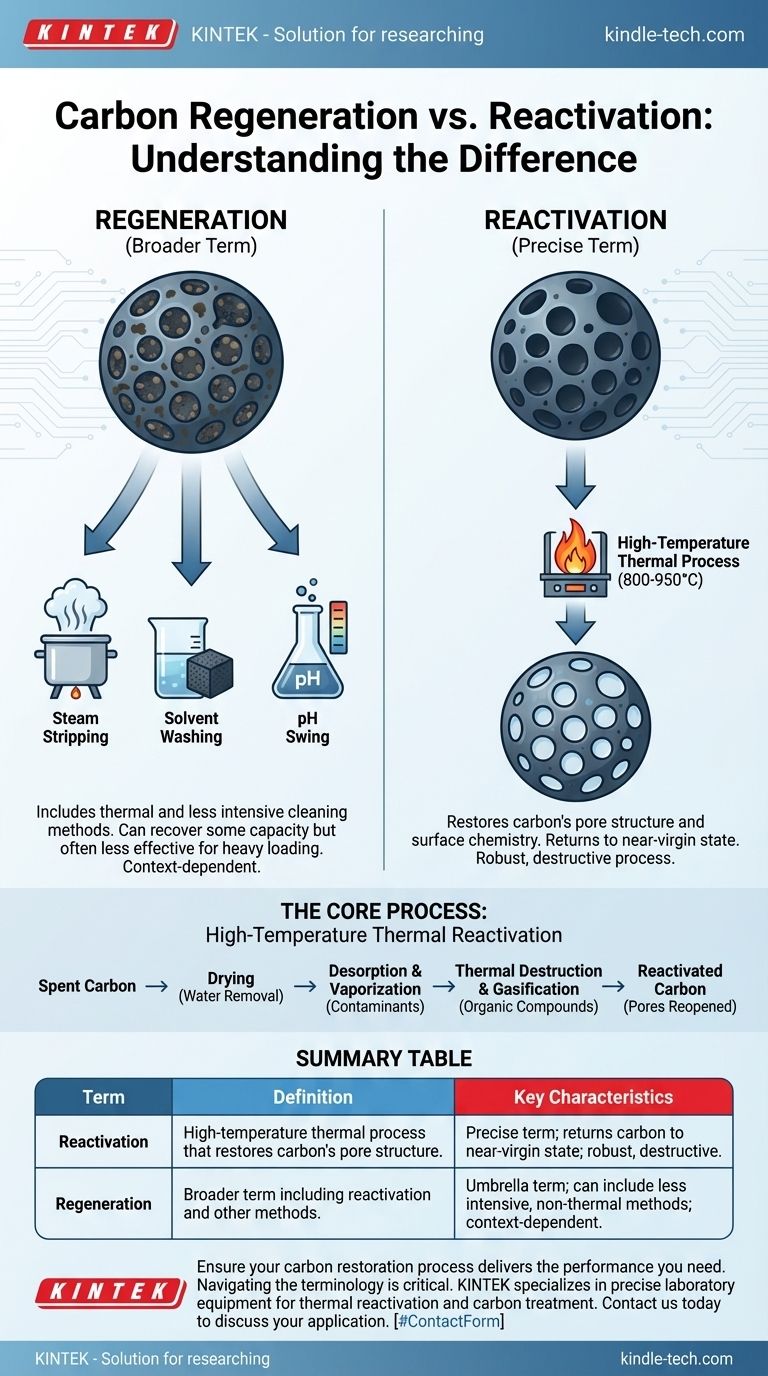 Qual è la differenza tra rigenerazione e riattivazione del carbone? Chiarire la terminologia chiave Guida Visiva