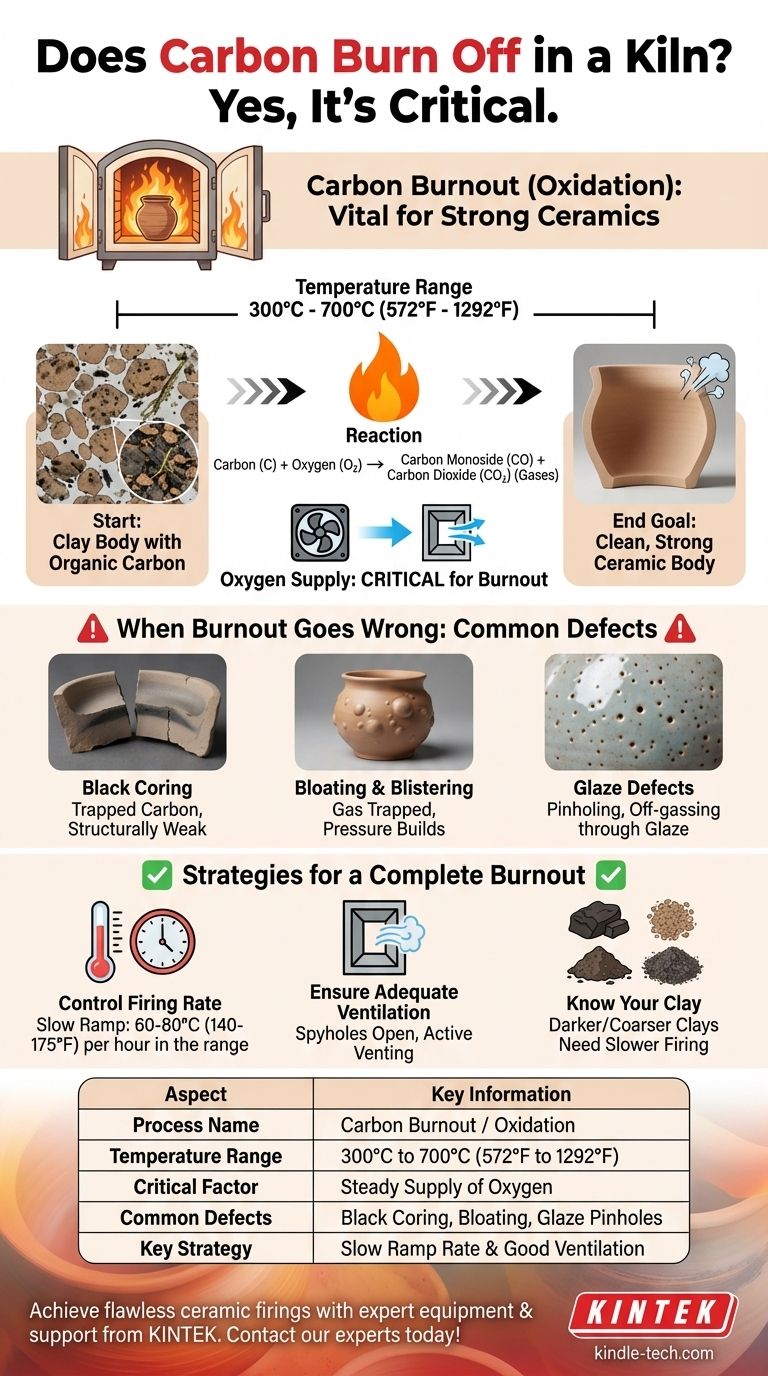Does carbon burn off in kiln? A Guide to Preventing Defects for Stronger Ceramics Visual Guide