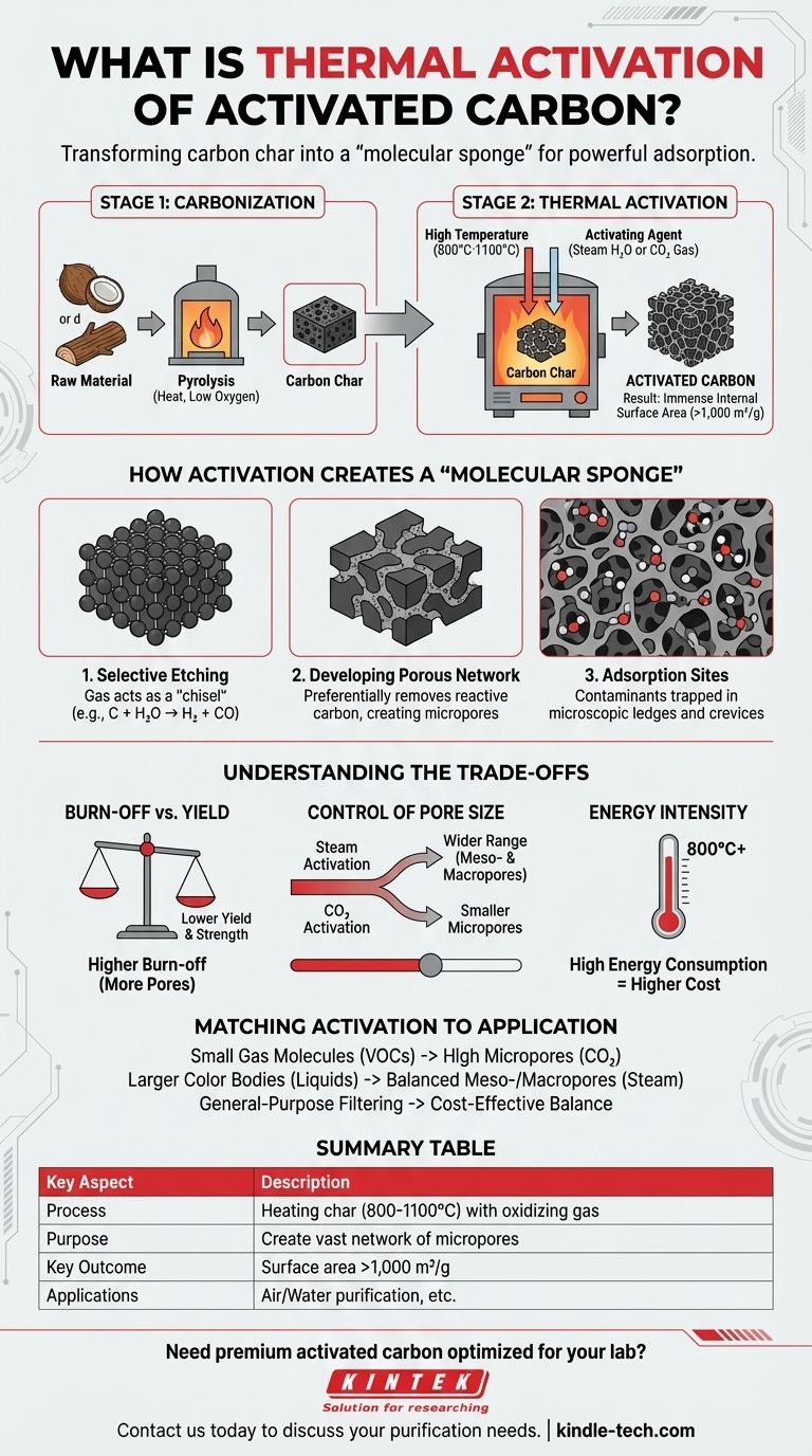 Что такое термическая активация активированного угля? Раскройте его потенциал для превосходной очистки Визуальное руководство