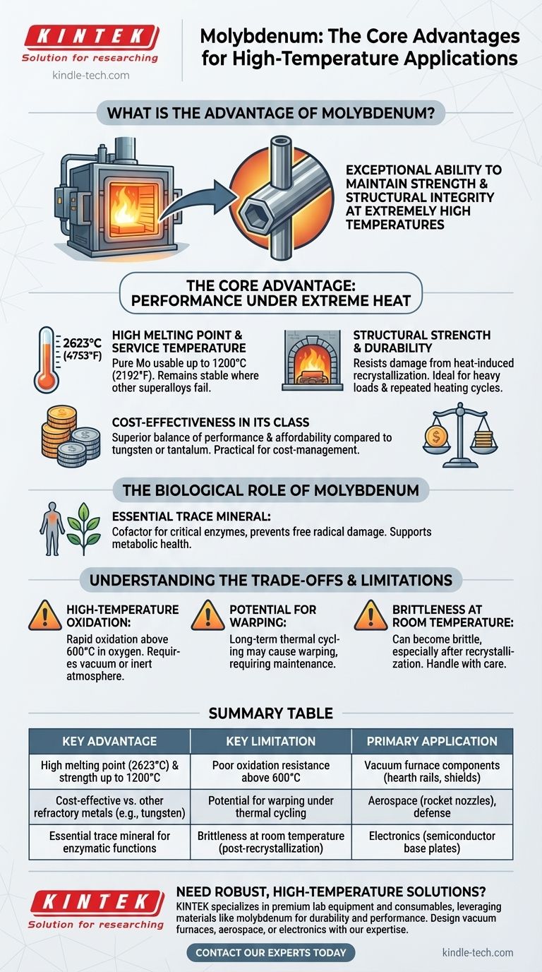 What is the advantage of molybdenum? Unlock Superior High-Temperature Performance Visual Guide