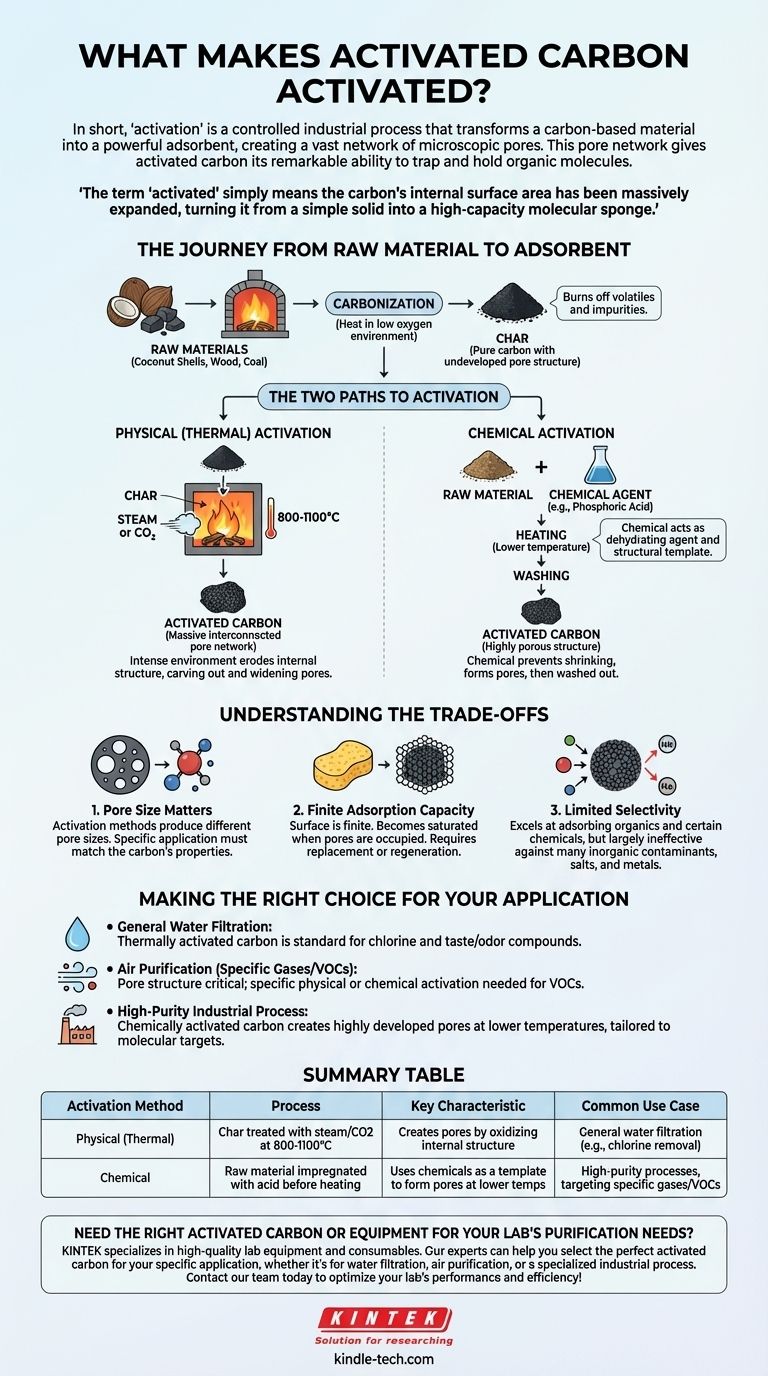 Что делает активированный уголь активированным? Процесс, который создает молекулярную губку Визуальное руководство