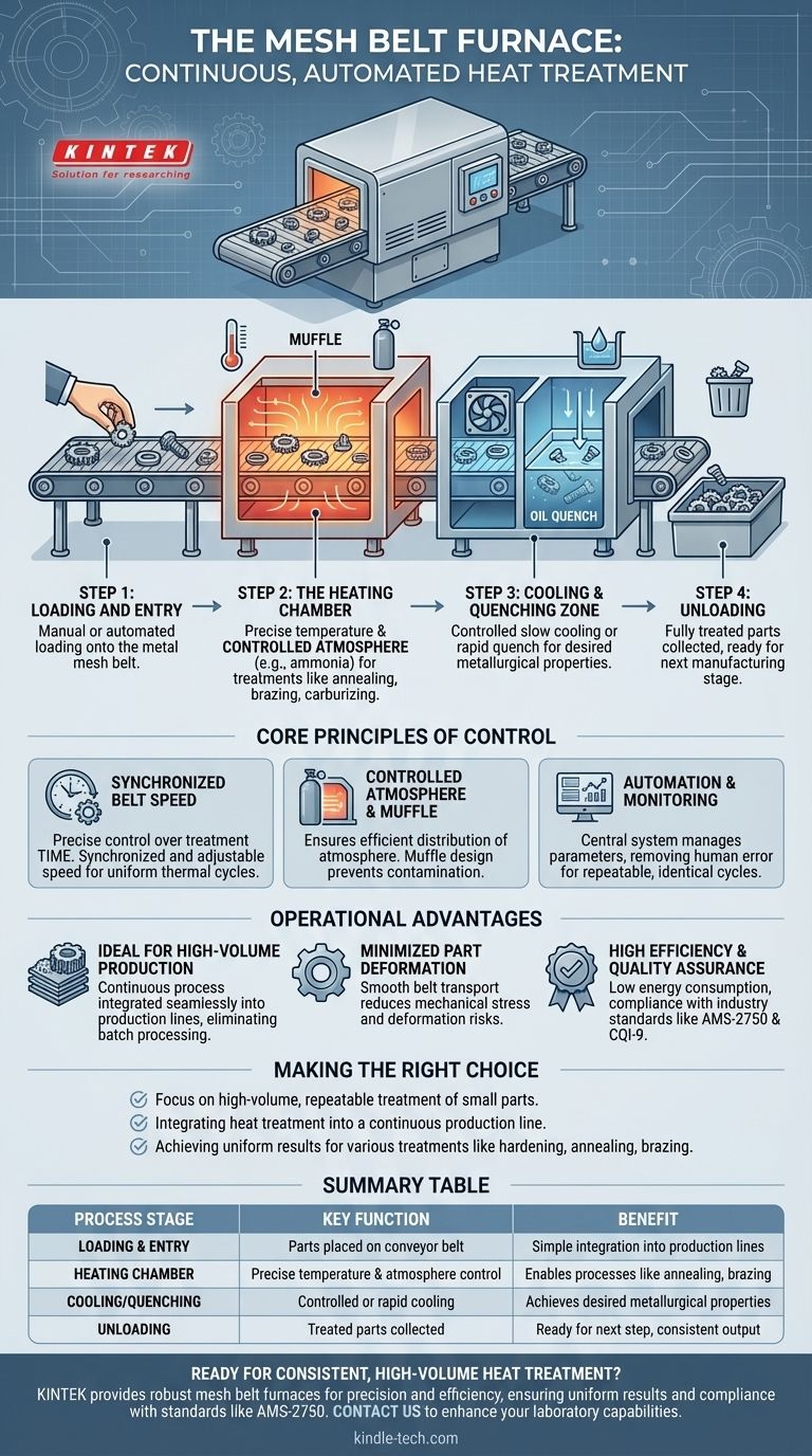 ما هي عملية فرن الحزام الشبكي؟ تحقيق معالجة حرارية متسقة وعالية الإنتاجية دليل مرئي