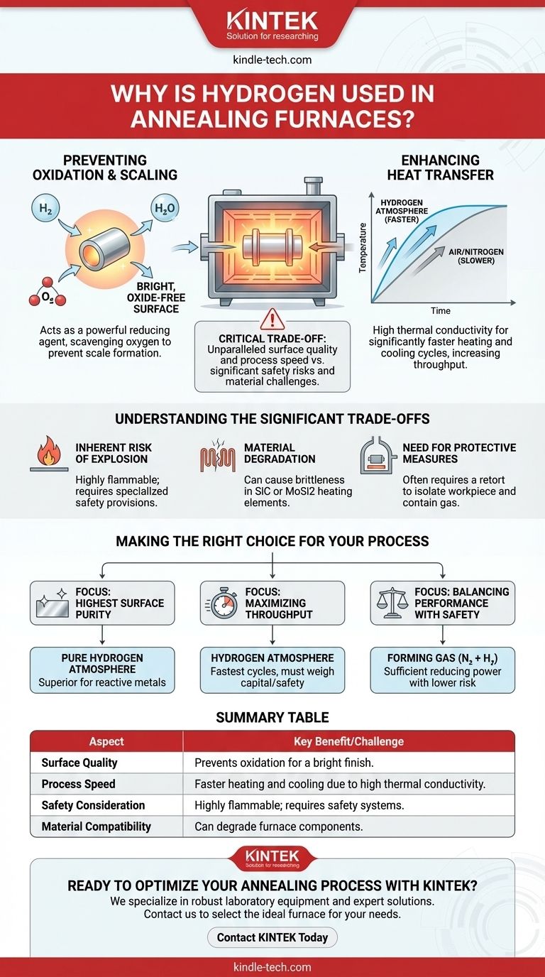 Perché l'idrogeno viene utilizzato nei forni di ricottura? Ottieni una qualità superficiale superiore e cicli più veloci Guida Visiva