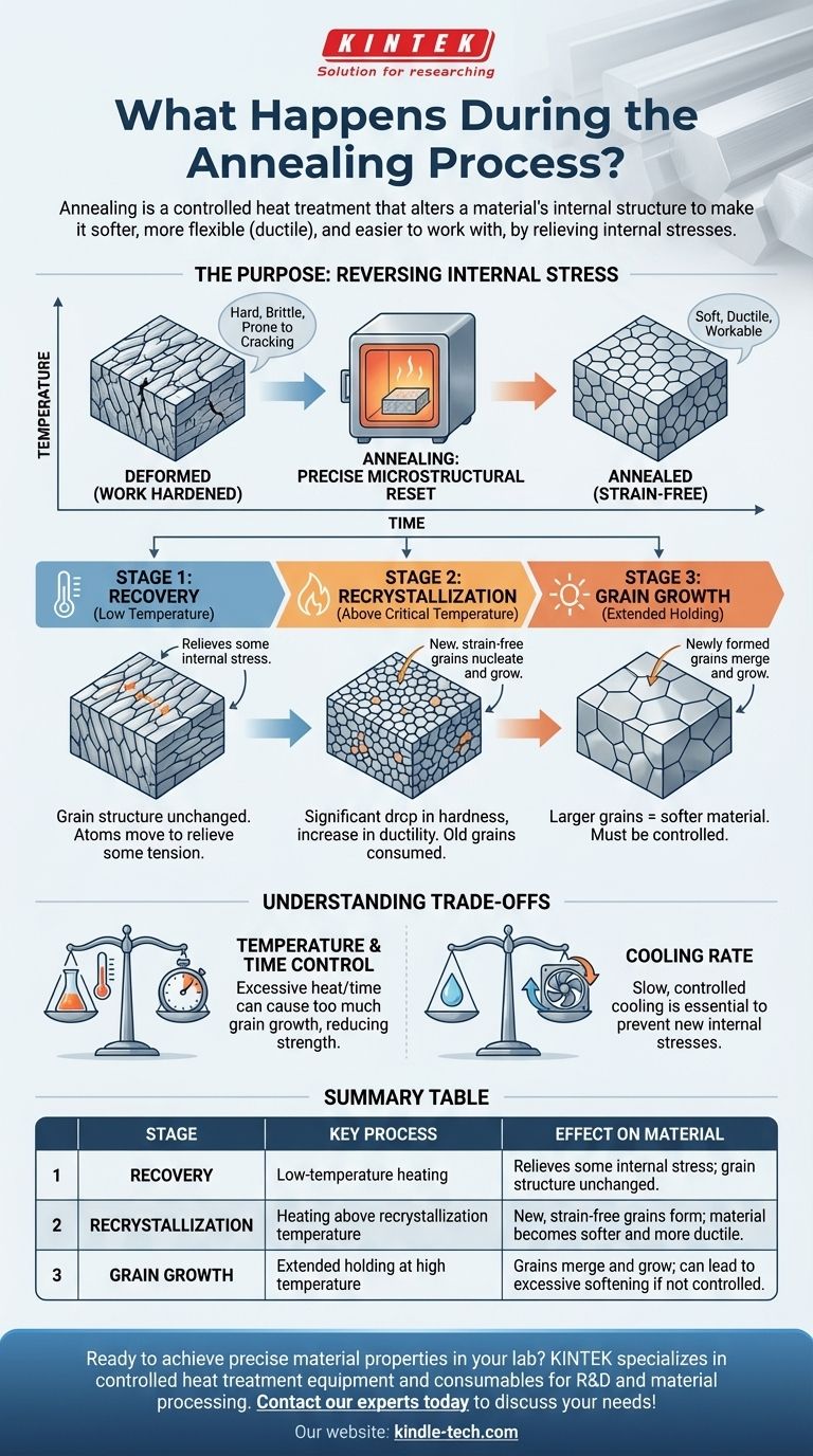 ماذا يحدث أثناء عملية التلدين؟ دليل للتليين المتحكم فيه وتخفيف الإجهاد دليل مرئي