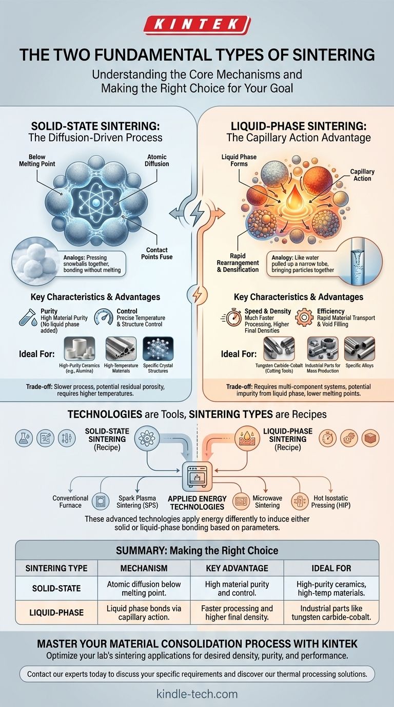 ما هما نوعا التلبيد؟ شرح التلبيد في الحالة الصلبة مقابل التلبيد في الطور السائل دليل مرئي