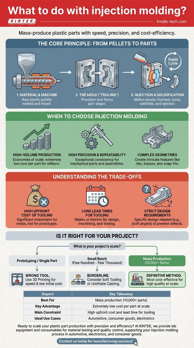 ¿Qué hacer con el moldeo por inyección? Producir en masa piezas de plástico de alta calidad de manera eficiente Guía Visual