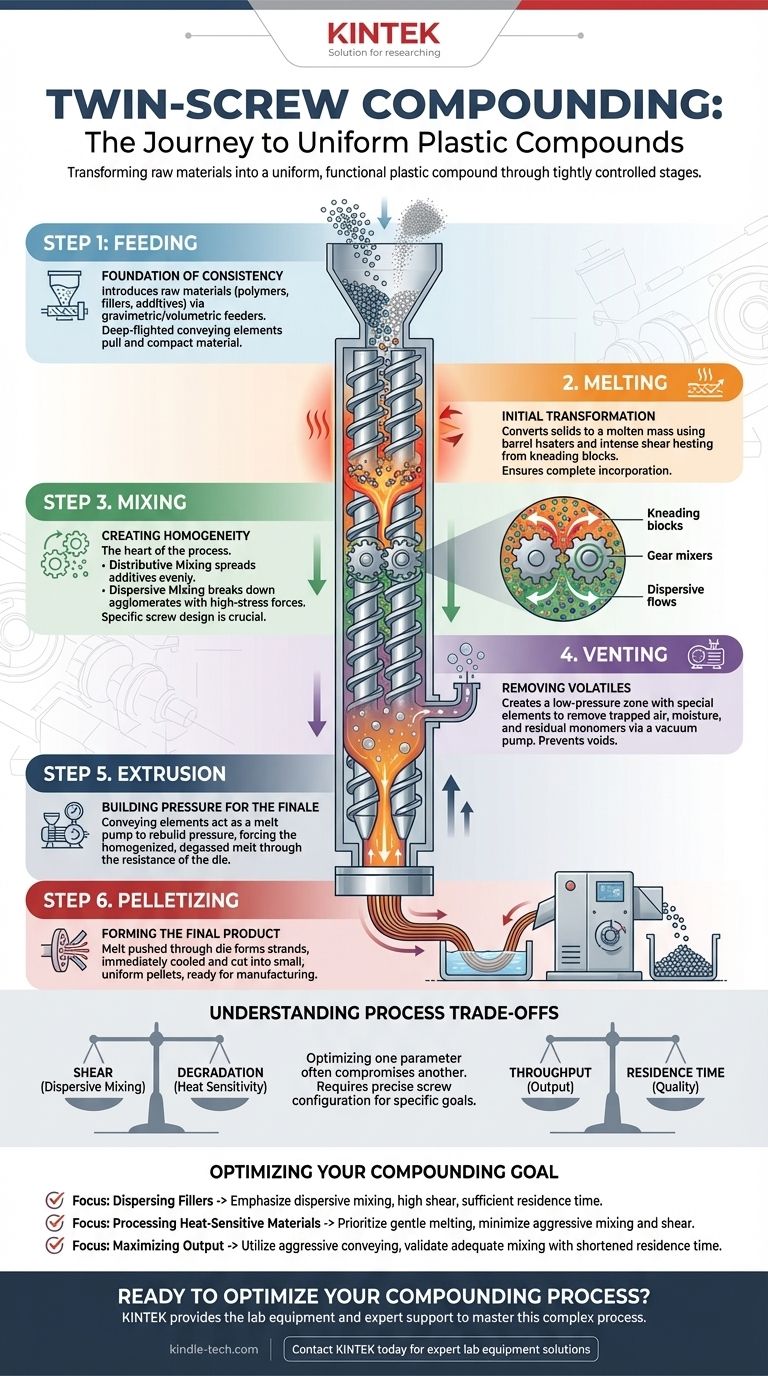 Quelles sont les étapes du compoundage bi-vis ? Maîtrisez le processus pour des matériaux plastiques de qualité supérieure Guide Visuel