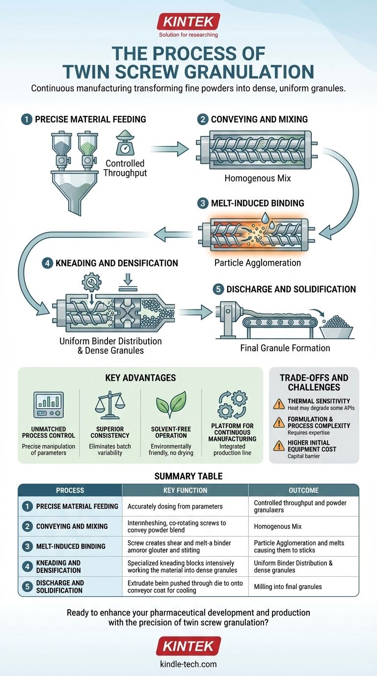 ¿Cuál es el proceso de granulación por extrusión de doble husillo? Logre una consistencia superior en la fabricación farmacéutica Guía Visual
