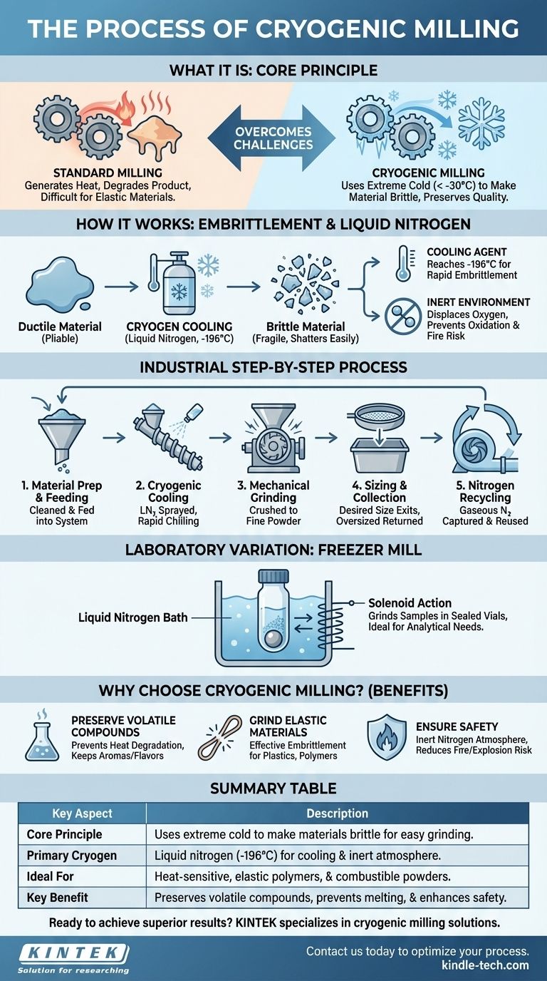 Cos'è il processo di macinazione criogenica? Ottenere polveri fini da materiali difficili Guida Visiva