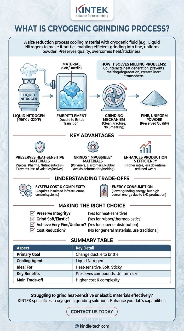 ما هي عملية الطحن بالتبريد؟ الحصول على مسحوق ناعم من المواد الحساسة للحرارة دليل مرئي