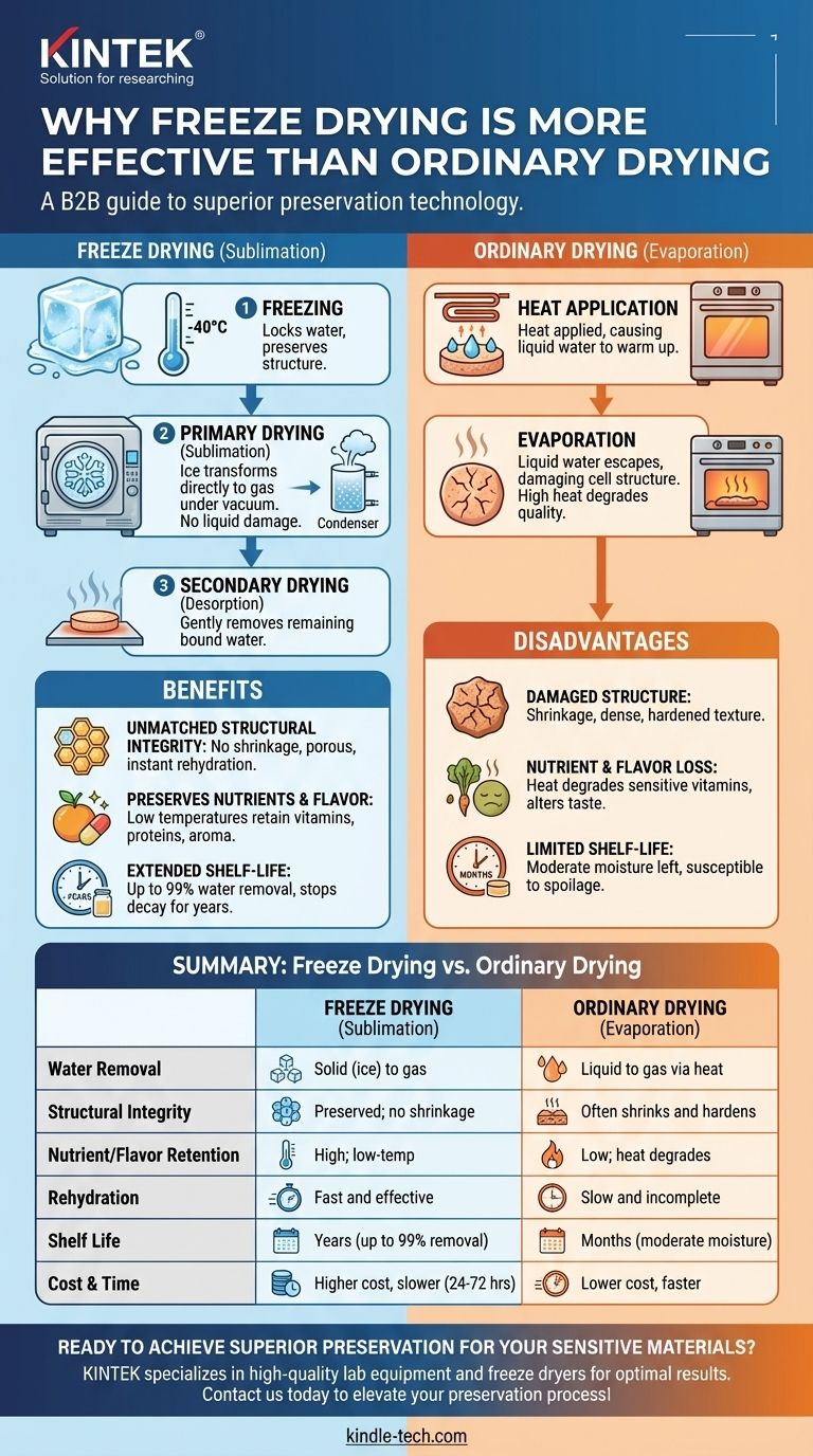 لماذا يعتبر التجفيف بالتجميد أكثر فعالية من التجفيف العادي؟ يحافظ على الهيكل والمغذيات والنكهة دليل مرئي