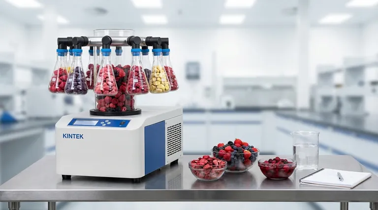 Was sind die Vorteile der Gefriertrocknung bei der Lebensmittelkonservierung? Nährstoffe, Geschmack und Haltbarkeit bleiben erhalten