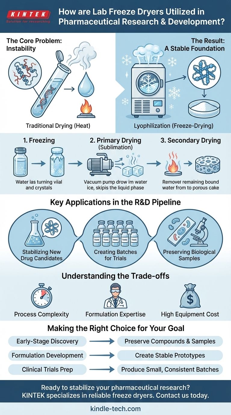 Wie werden Labor-Gefriertrockner in der pharmazeutischen Forschung und Entwicklung eingesetzt? Arzneimittelkandidaten mit Lyophilisierung stabilisieren Visuelle Anleitung