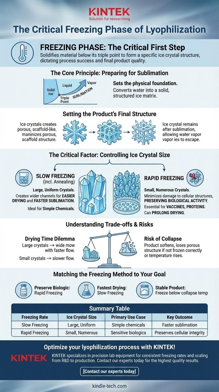 Que se passe-t-il pendant la phase de congélation de la lyophilisation ? Maîtrisez la première étape critique pour l'intégrité du produit Guide Visuel