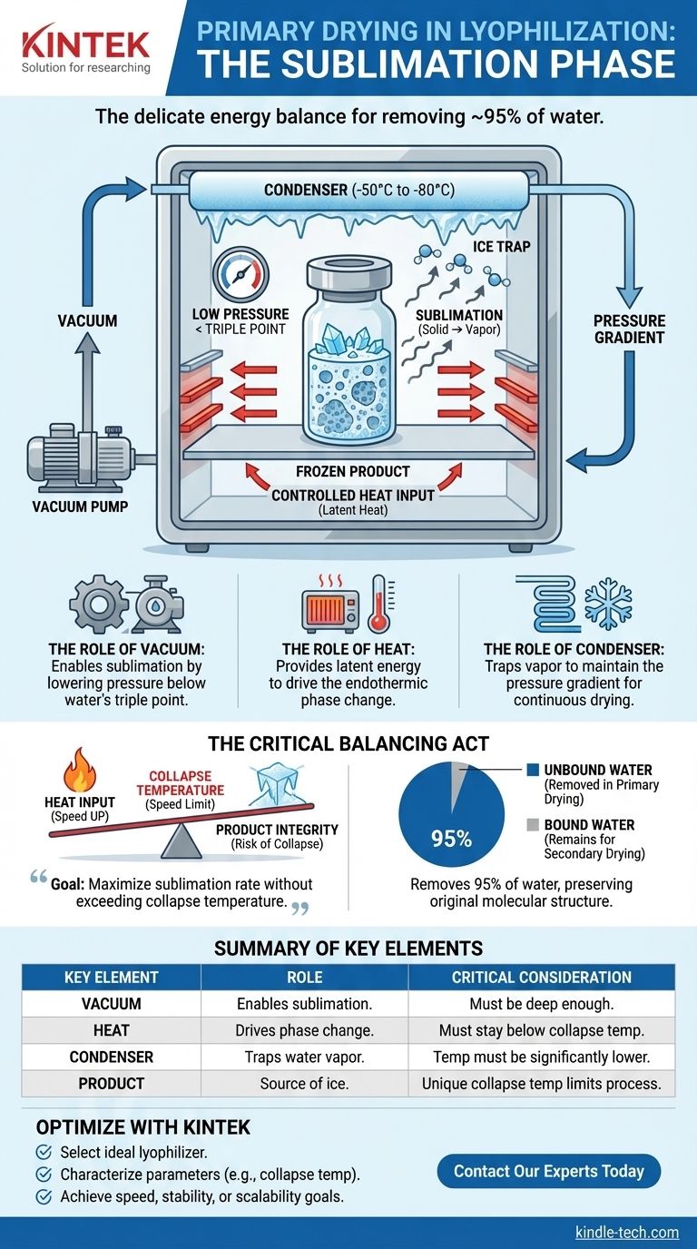 Что происходит во время фазы первичной сушки (сублимации)? Освойте основы лиофилизации Визуальное руководство