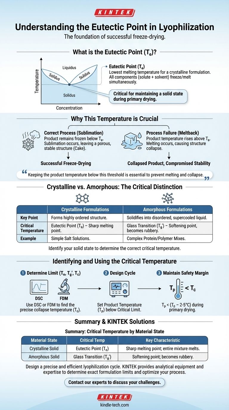 Was ist der Eutektische Punkt bei der Lyophilisation? Die kritische Temperatur für den Erfolg meistern Visuelle Anleitung