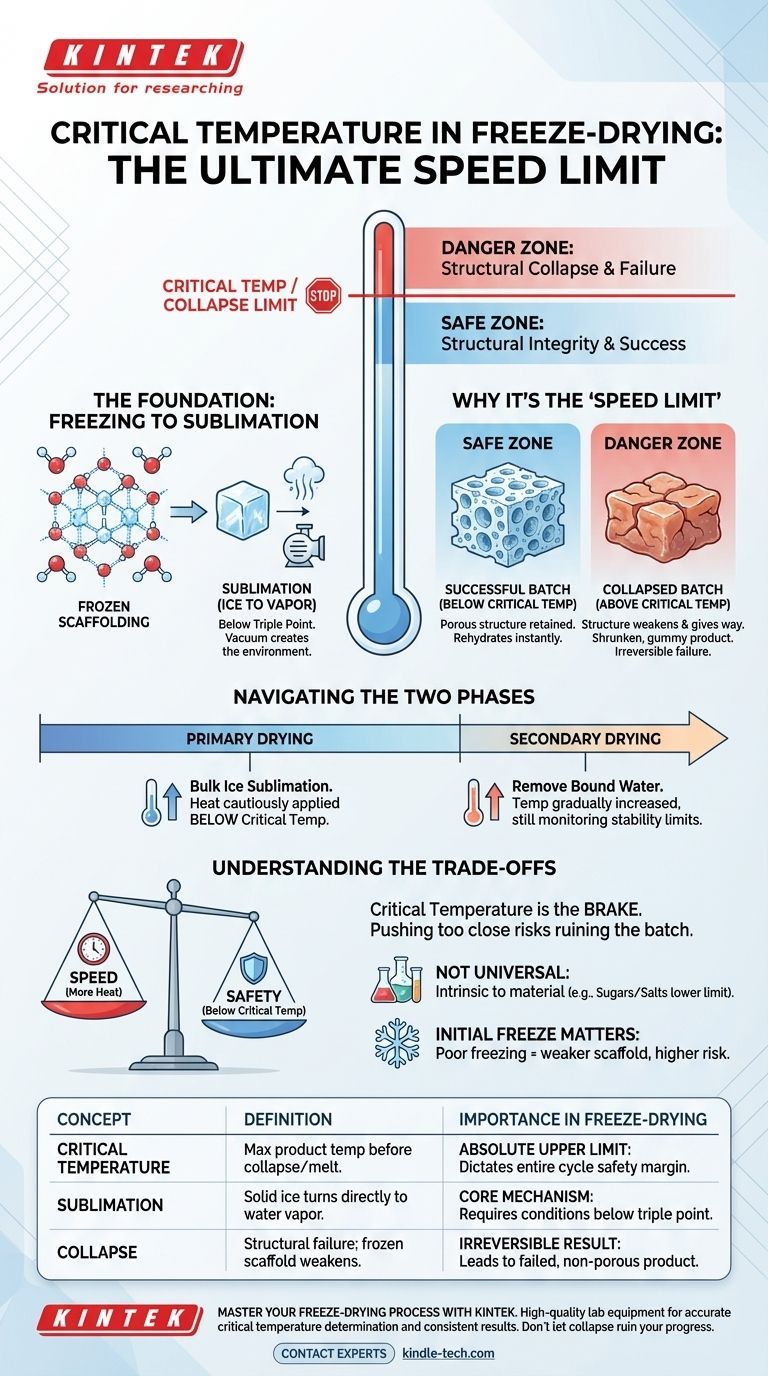 Что такое критическая температура при сублимационной сушке? Ключ к успешной лиофилизации Визуальное руководство