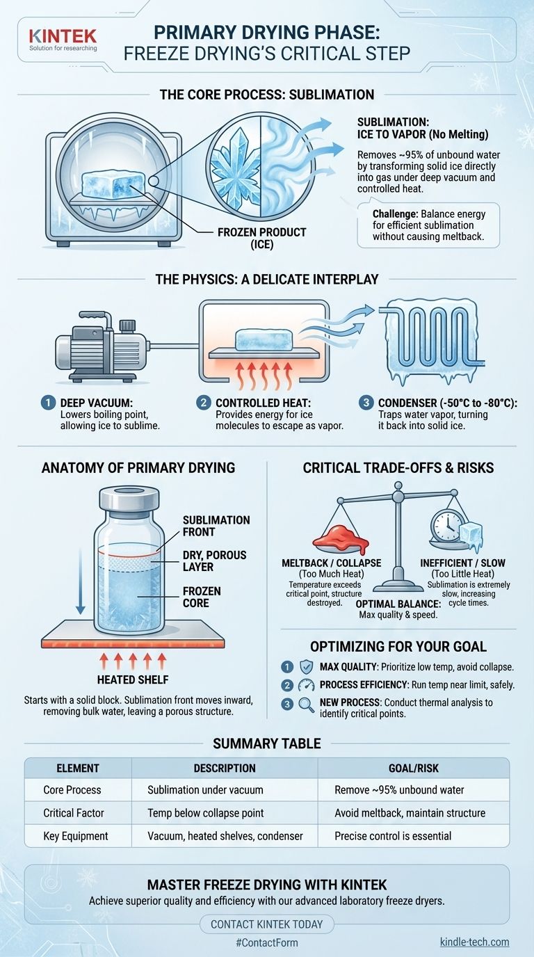 동결 건조의 1차 건조 단계에서 일어나는 일은 무엇인가요? 승화 과정을 마스터하세요 시각적 가이드