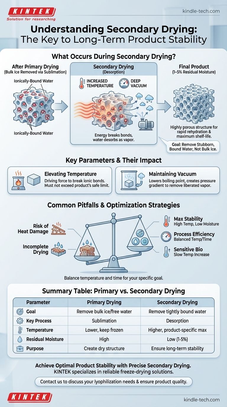 Was geschieht während der sekundären Trocknungsphase? Meistern Sie den letzten Schritt für die Produktstabilität Visuelle Anleitung