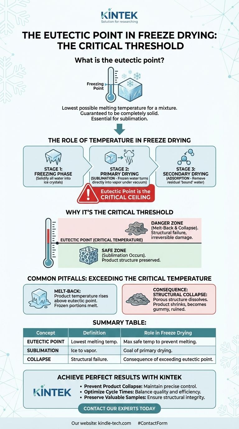 What is the eutectic point in freeze drying? The Critical Temperature for Successful Lyophilization Visual Guide