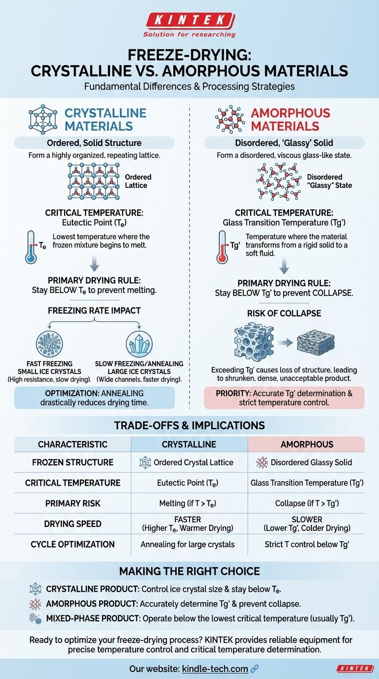 Was ist der Unterschied zwischen kristallinen und amorphen Materialien beim Gefriertrocknen? Beherrschen Sie die kritische Temperatur für den Erfolg Visuelle Anleitung