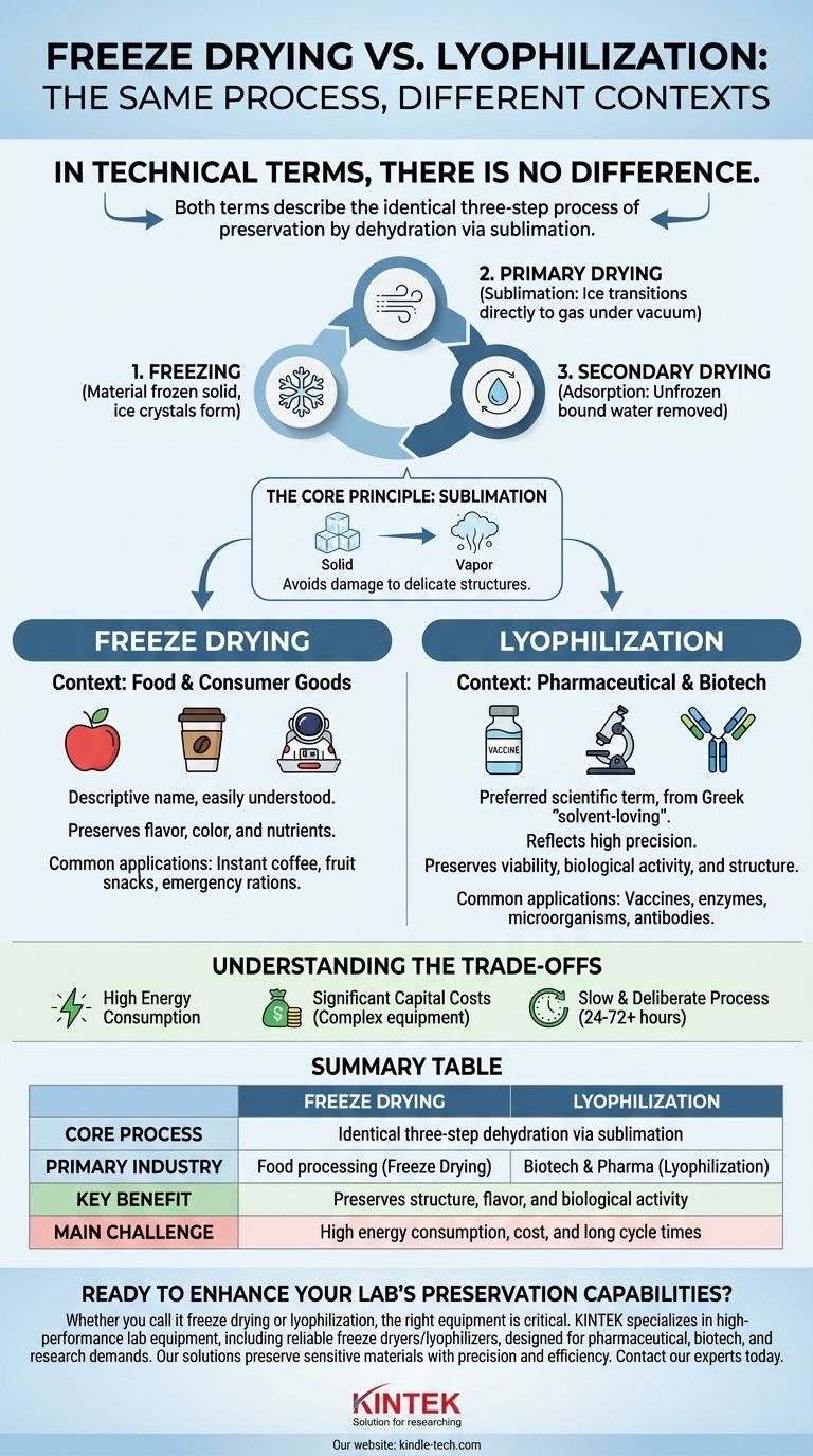 フリーズドライとライオフィリゼーションの違いは何ですか？同じ強力な保存プロセスの全貌 ビジュアルガイド