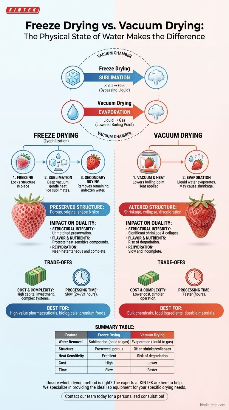 フリーズドライと真空乾燥の主な違いは何ですか？品質と効率のガイド ビジュアルガイド