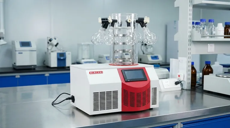 ¿Cuáles son las ventajas de usar un liofilizador de laboratorio? Preserve la integridad de la muestra con la liofilización