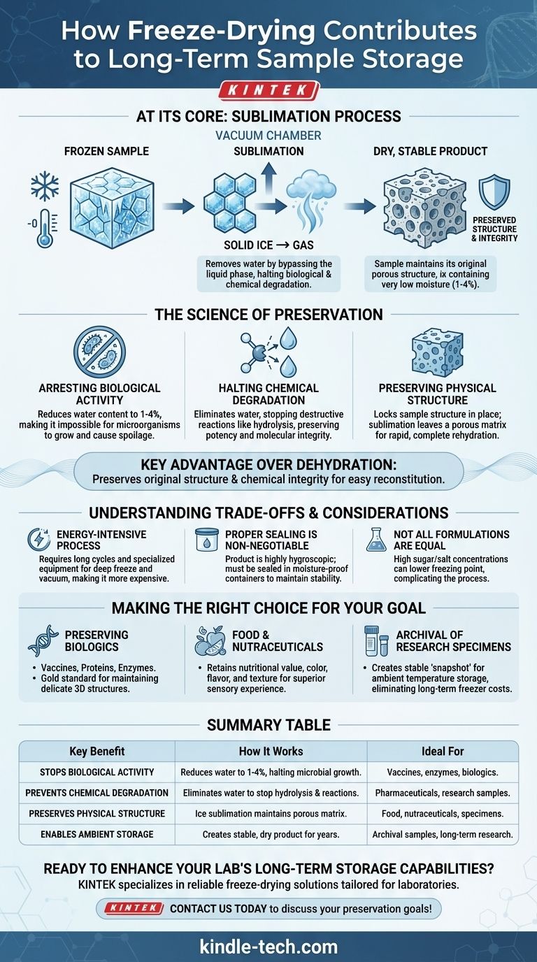 Comment la lyophilisation contribue-t-elle à la conservation à long terme des échantillons ? Obtenez une conservation maximale sans réfrigération Guide Visuel