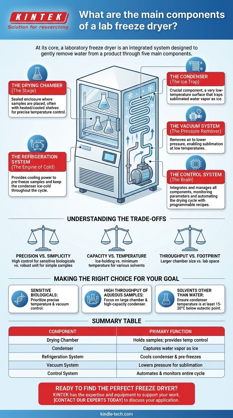 실험실용 동결 건조기의 주요 구성 요소는 무엇인가요? 동결 건조의 비밀을 풀어보세요 시각적 가이드