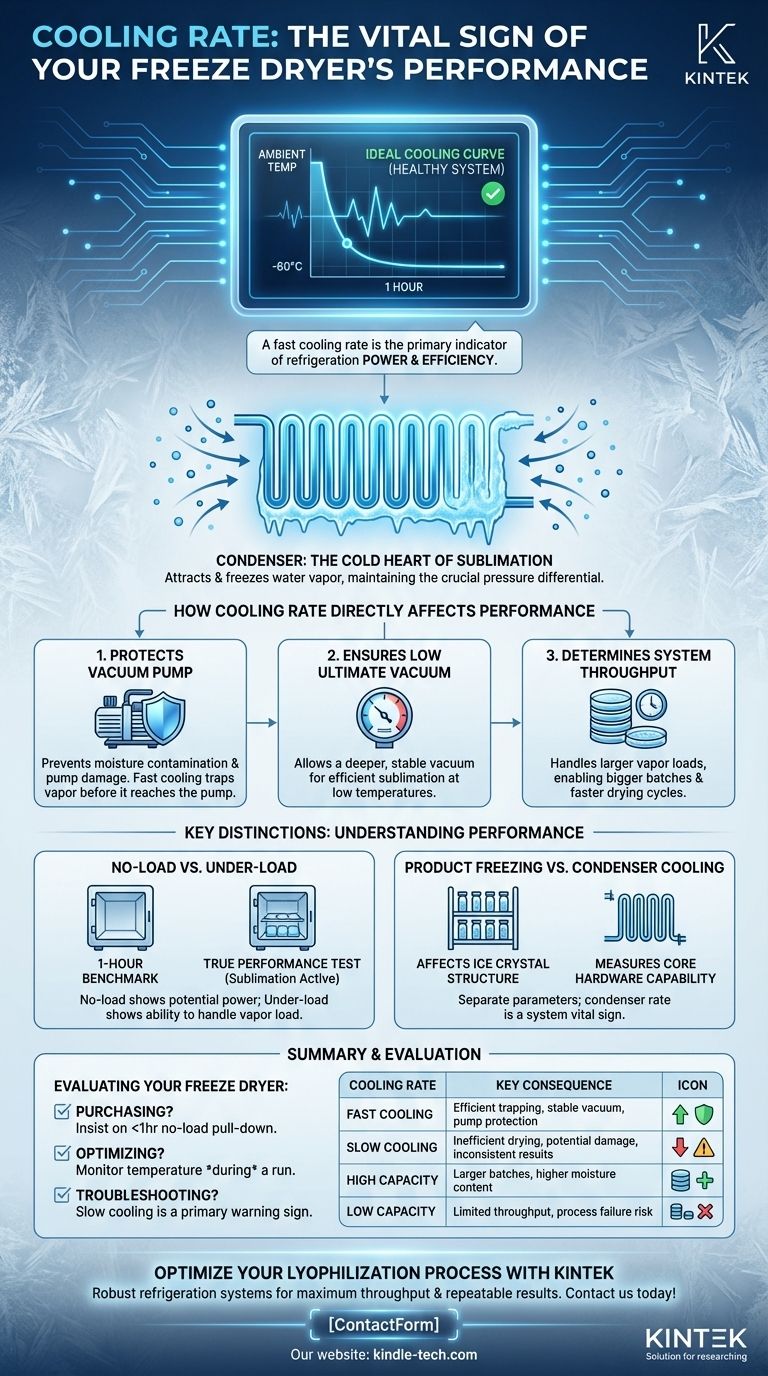 كيف تؤثر سرعة التبريد على أداء المجفف بالتجميد؟ أطلق العنان للتجفيف بالتجميد بشكل أسرع وأكثر موثوقية دليل مرئي