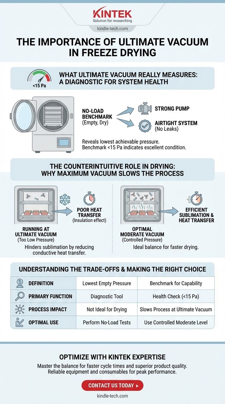 Qual è l'importanza del vuoto finale in un liofilizzatore? Una Diagnostica Chiave per un'Essiccazione Efficiente Guida Visiva
