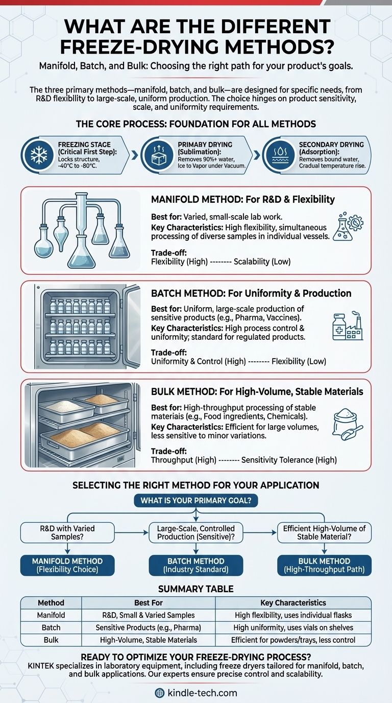 Какие существуют методы сублимационной сушки? Выберите правильный путь лиофилизации Визуальное руководство
