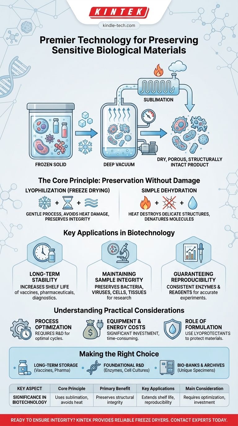 What is the significance of freeze dryers in biotechnology? Preserving Life-Saving Samples for Research Visual Guide