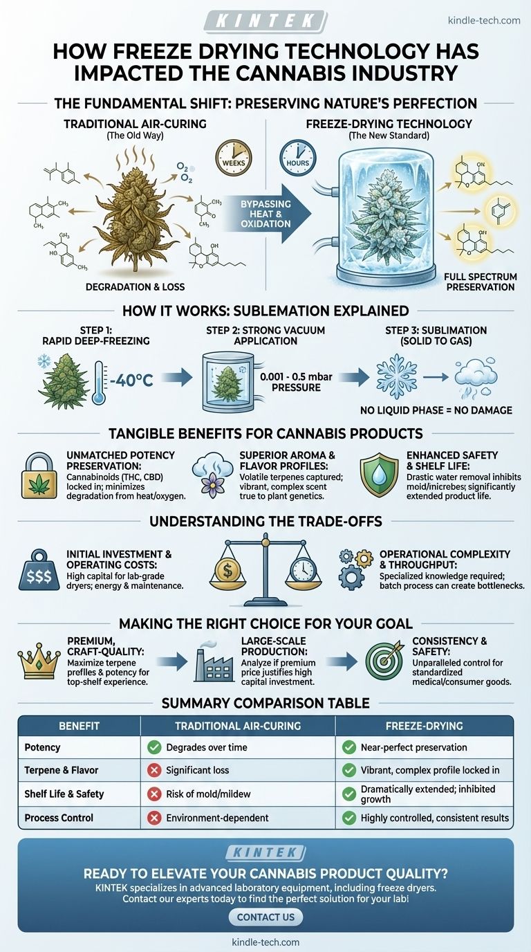 كيف أثرت تقنية التجفيف بالتجميد على صناعة القنب؟ أطلق العنان لفعالية ونكهة فائقتين دليل مرئي