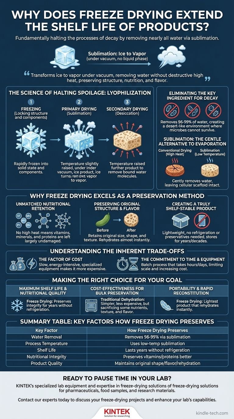 동결 건조가 제품의 유통 기한을 연장하는 이유는 무엇입니까? 수년 동안 영양과 맛을 보존합니다 시각적 가이드